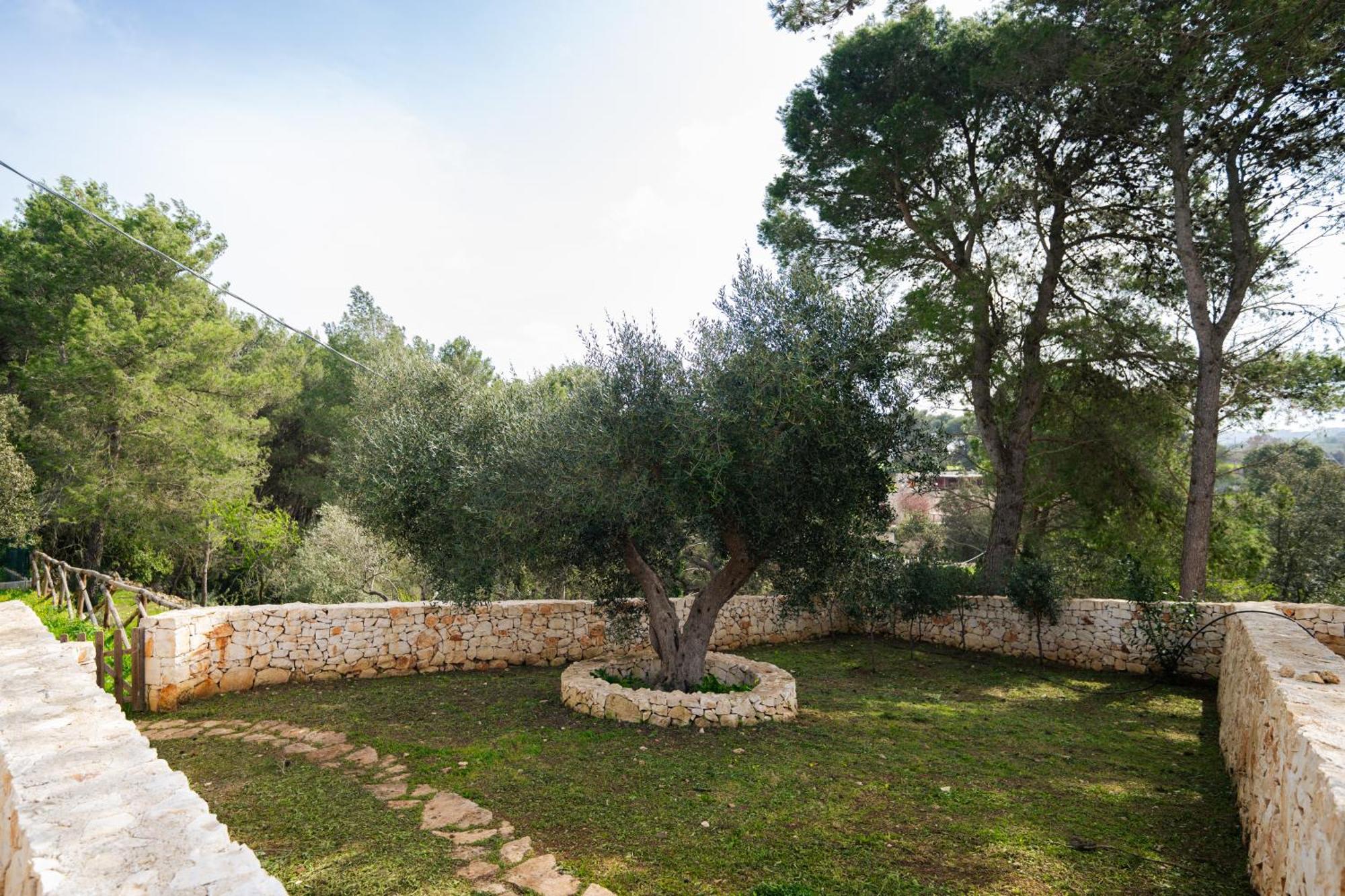 Trulli Magda Villa Martina Franca Exterior foto